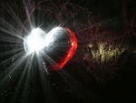 Miggy Wild - sparkly heart
