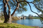 RichardB - Blenheim.jpg