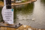Nick Hardwick - Stratford Swan