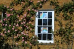 Nicky Westwood-NHS Tribute, Adderbury (4)