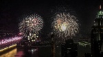 Miggy Wild - July 4th fireworks