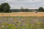 harvesting 2