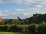 kite