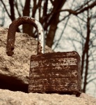 Maureen Robinson - Rusted Padlock