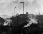 Maureen Tyrrell - Rooftops