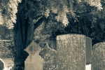 Meriel Flux - gravestones