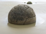 Janet1 - Moeraki Boulders.jpg