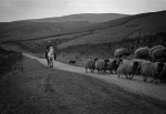 Paul Brewerton - Vintage Pre Quadbike
