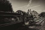 Neil Grantham - Anyone for Corfe Castle