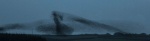 John C1 Cornish Starlings.jpg