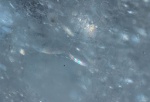 Meriel Flux - 1