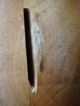 Paul Brewerton - 1