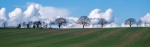 Martyn Pearse - Trees Clouds Before