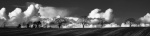 Martyn Pearse - Trees Clouds BW