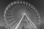 Nicky Westwood - Stratford Ferris Wheel (1a)