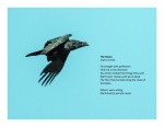 Andrew Dayer - The Raven