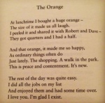 Maureen Robinson - The Orange - poem