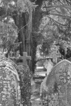 Meriel Flux - Country church yard - pic