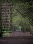 Miggy Wild - Poetry No 2