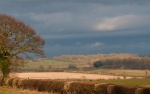 Spring Fields