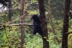 Paul Brewerton - Expert Climber (3)
