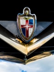 Blenheim Motor Show -13