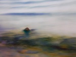 Miggy Wild - lake district No 1