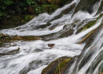 Paul Brewerton - Cascade