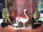Maureen Tyrrell - Shop Window