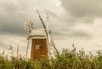 Elaine Argent - Horsey Windmill