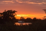 Elaine Argent - Sunset over River Bure