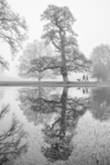 Jim Muller - Misty morning