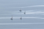 Lindsey Smith - Out sailing