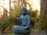 Nick Hardwick - Buddha sees Light