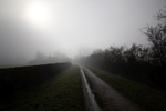 Nick Hardwick - Misty Farmhouse