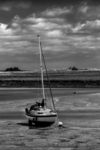 Paul Brewerton - Tides Out