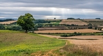 Richard Broadbent - Near Sibford