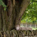 Colin Lamb - A tight squeeze