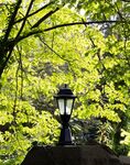 Nick Hardwick - Aston Lamp