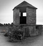Nick Hardwick - Pillbox and Poppies