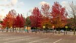 Jim Muller - Even supermarkets can be beautiful