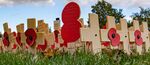 Martyn Pearse - Poppy