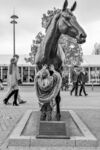 Nicky Westwood - Best Mate Memorial-Cheltenham