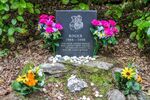 Nicky Westwood - Dog Cemetery, Portmeirion,Wales
