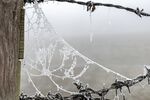 Andrew Dayer - Web Gloomy Adderbury