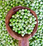 Maureen Robinson - Frozen Peas in Ladle