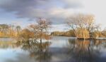 Maureen Tyrrell - Clattercote reservoir
