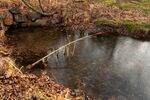 Meriel Flux - reeds in ice