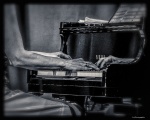 DSCF7804-Edit.jpg