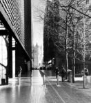 Maureen Robinson - Tower Bridge Walk